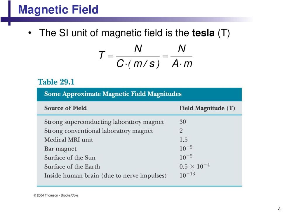 Chapter 24 Magnetic Fields. ppt download